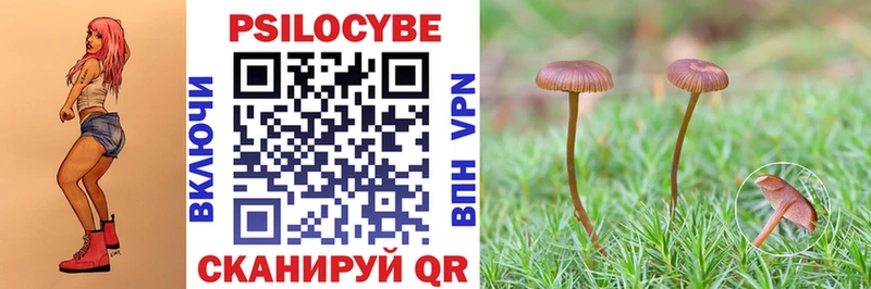 где найти наркотики  Янаул  площадка как зайти  Псилоцибиновые грибы Psilocybe 